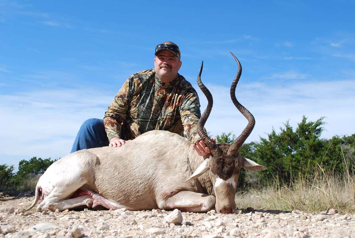 Addax Addax